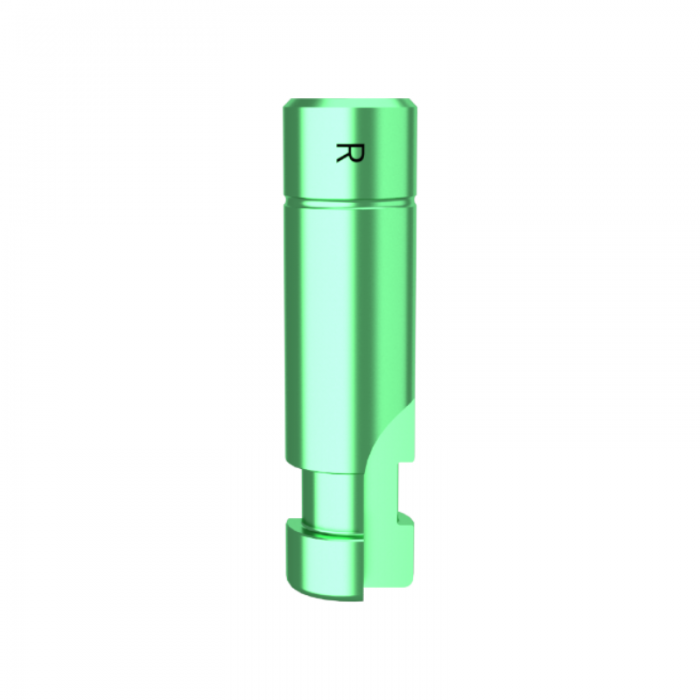 DMR Implant System