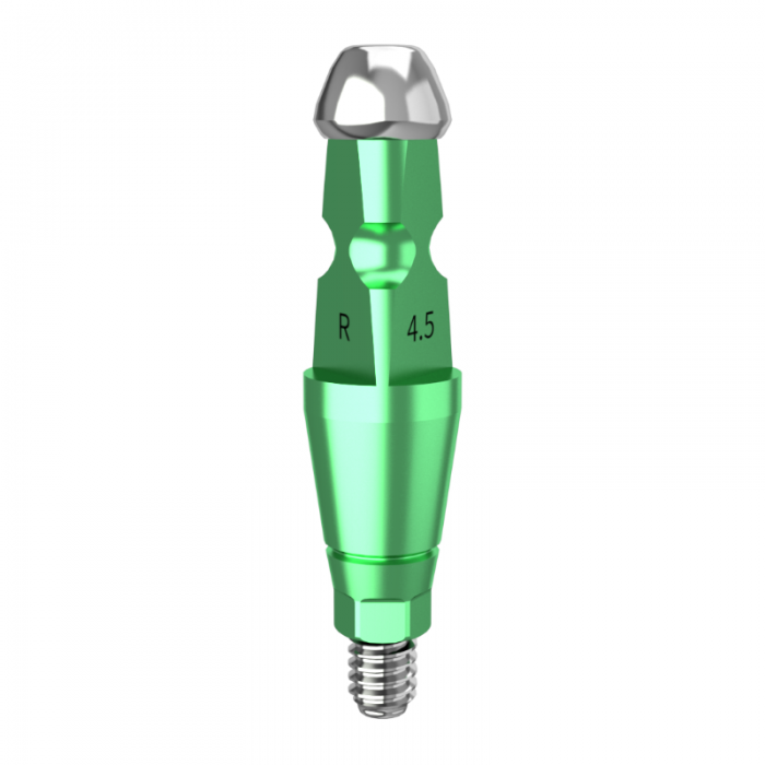 DMR Implant System
