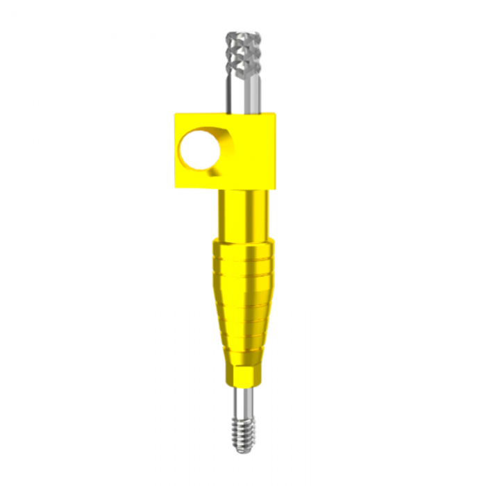 DMR Implant System