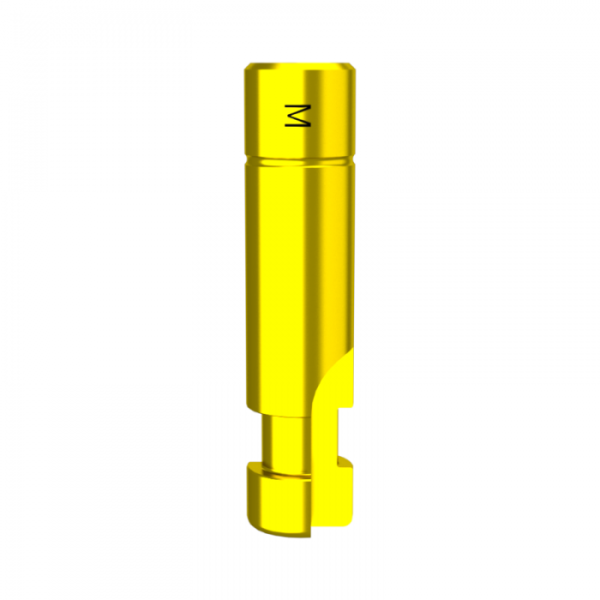 Mini DMR Réplique