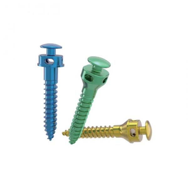 Vis de fixation intermaxillaire (FIM)